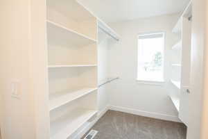 Primary Closet