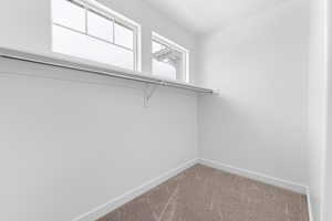 Walk in closet with carpet floors