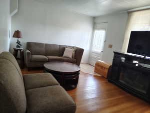 Living area featuring wood-type flooring