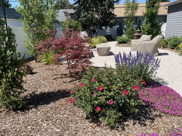 Expansive outdoor space featuring a white privacy fence, mulched garden beds, a gravel patio, and vibrant plantings including a red Japanese maple and purple flowering shrubs