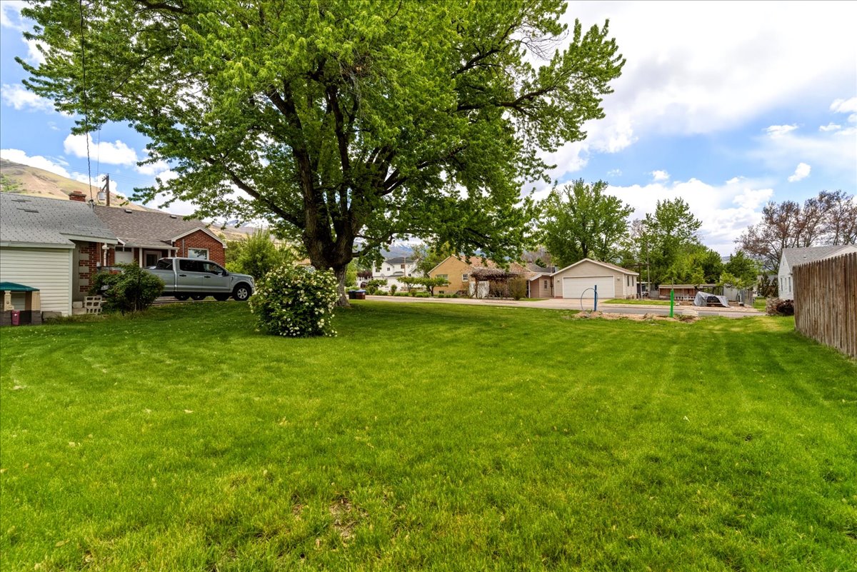 View of grassy yard with a residential view