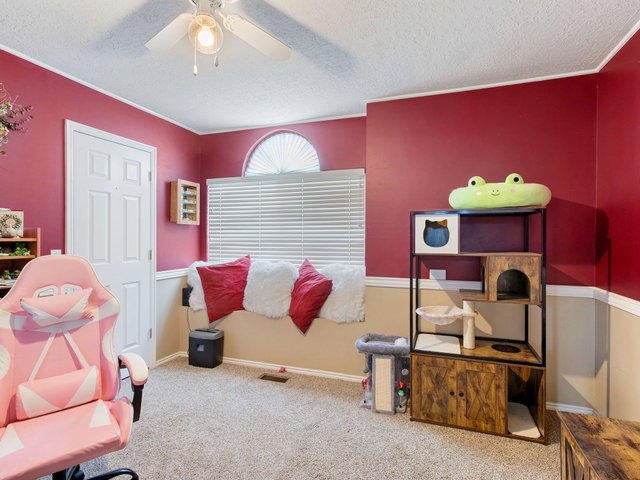 Rec room featuring carpet floors, a ceiling fan, and a textured ceiling