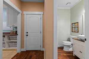 Half bath featuring vanity, dark wood-style floors, and ornamental molding