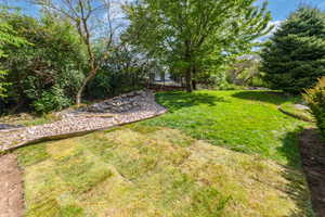 View of yard with view of scattered trees