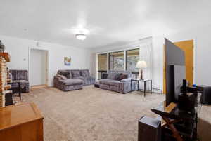 Living area with light colored carpet