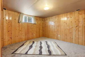 Carpeted spare room featuring wooden walls
