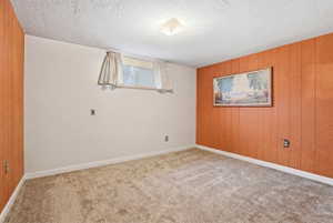 Carpeted spare room featuring wood walls and an accent wall