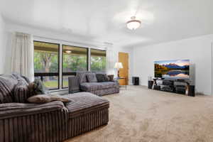 Living area featuring carpet flooring
