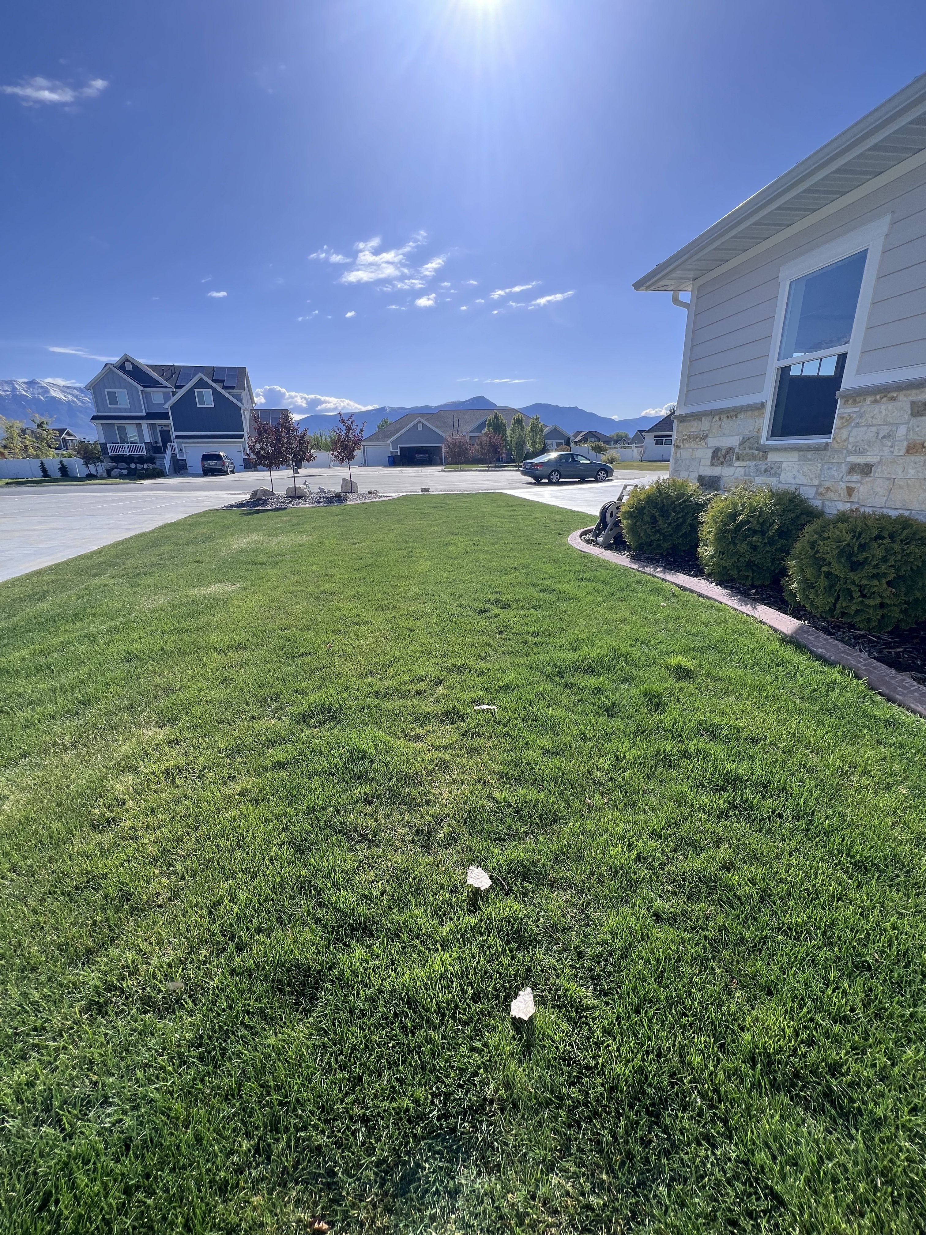 View of green lawn with a mountain view