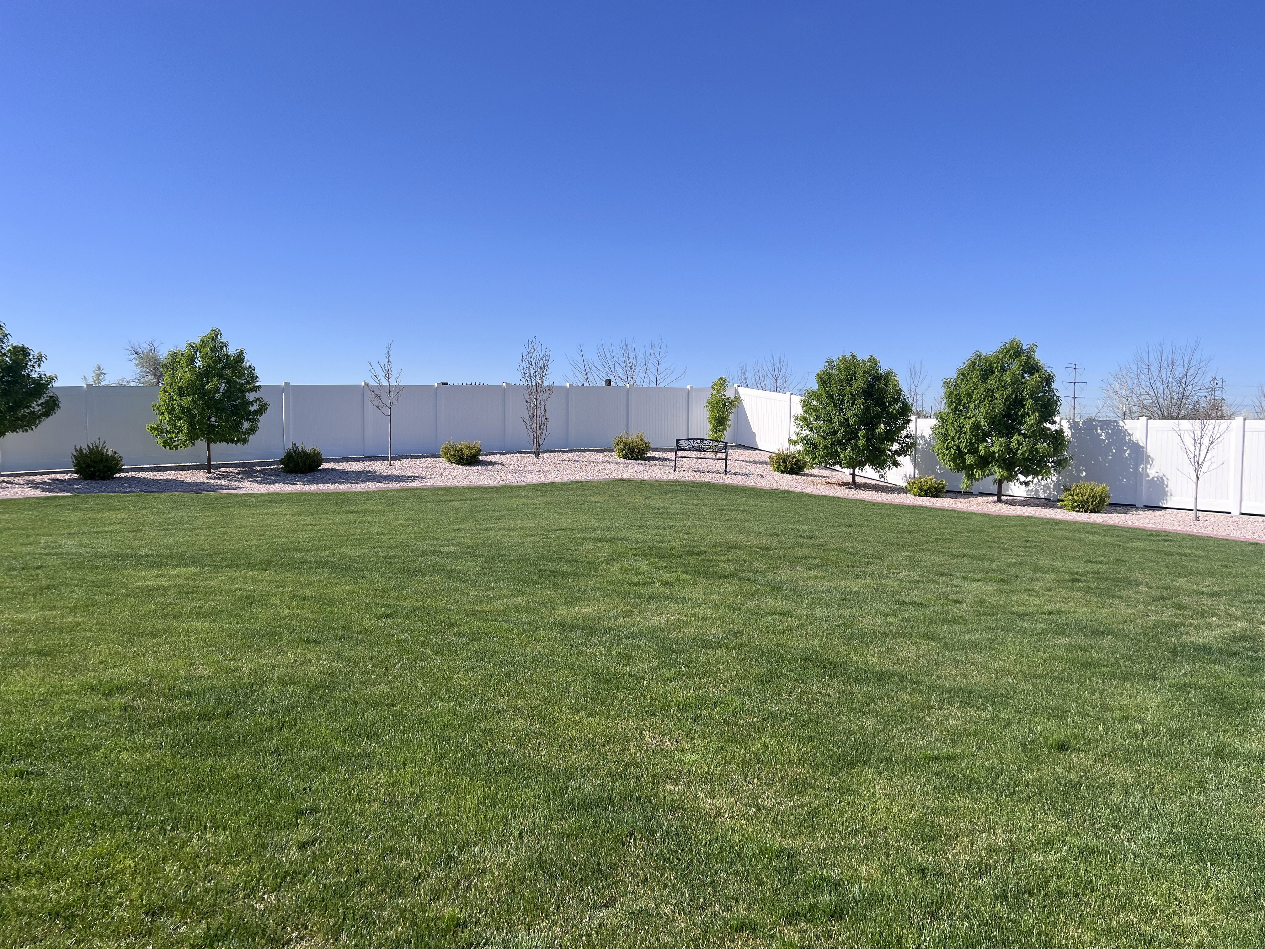 View of fenced backyard