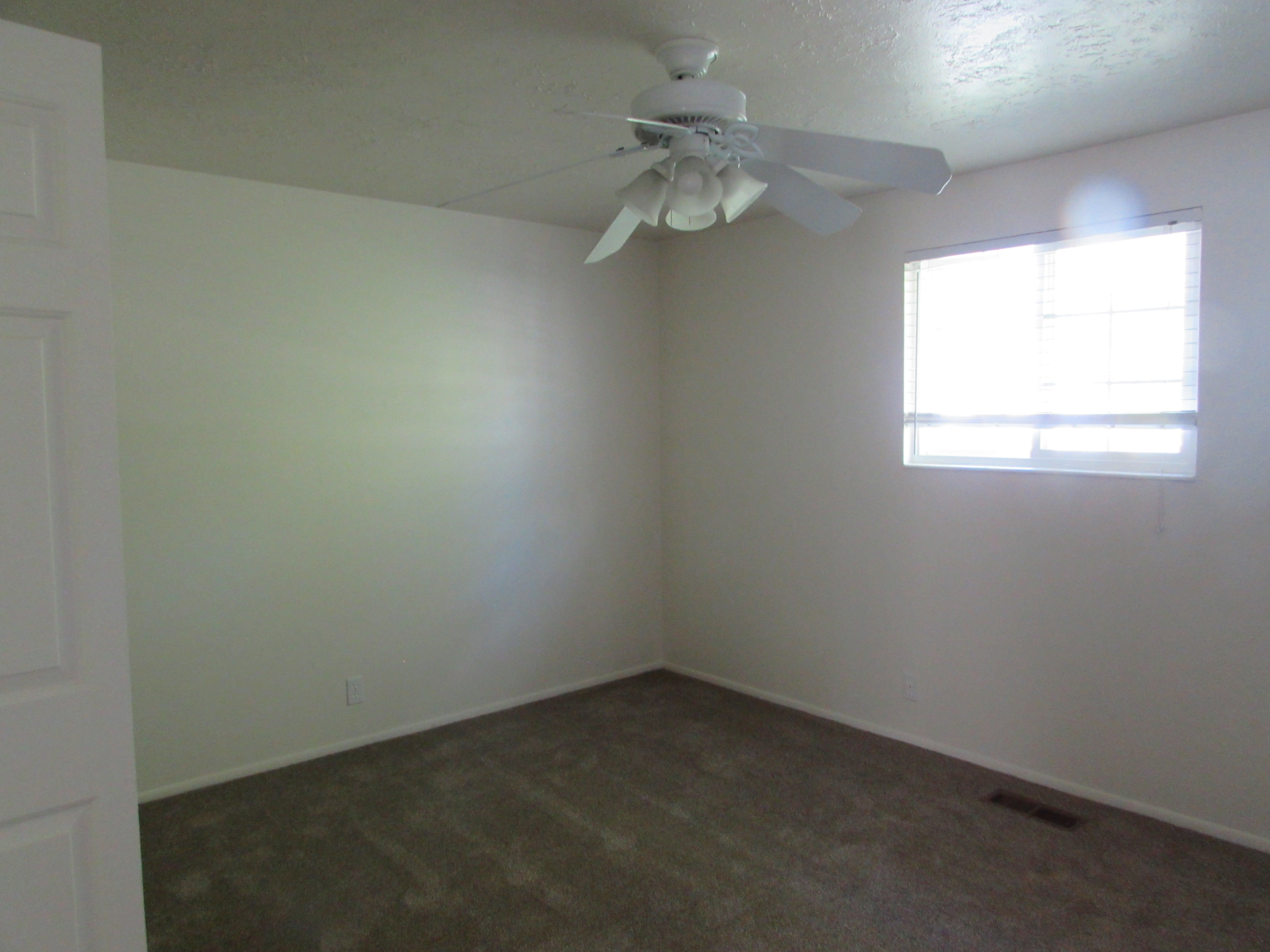 Bedroom featuring a ceiling fan and new carpet