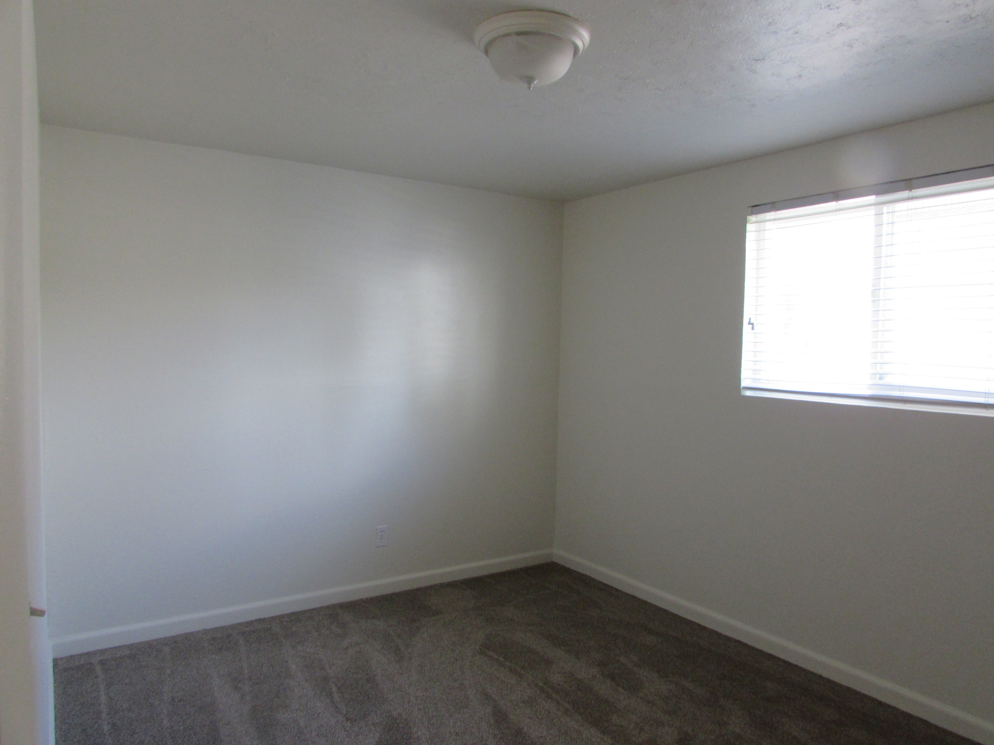 Bedroom featuring baseboards and carpet