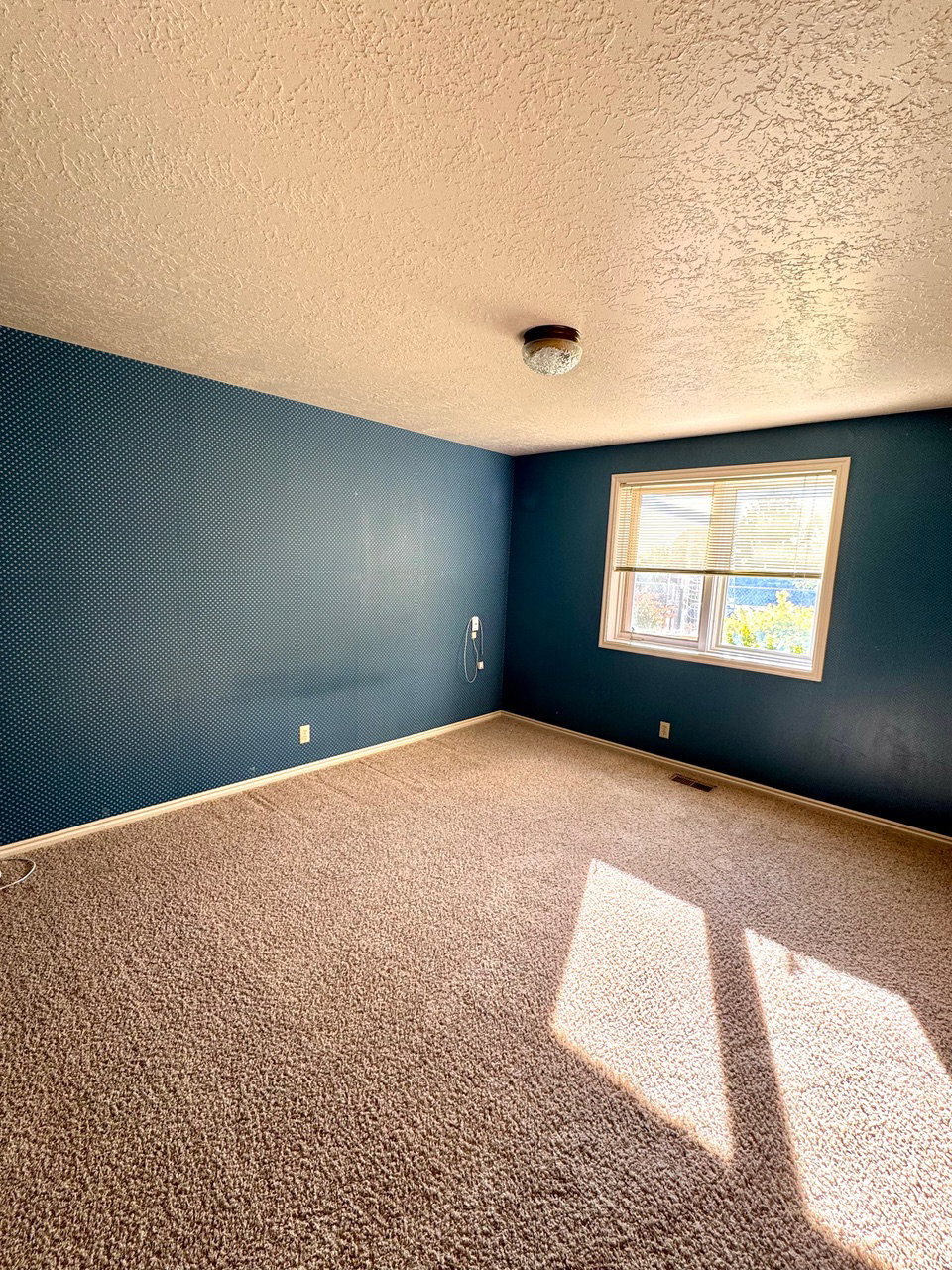 Spacious room featuring textured ceiling, a window with natural light, and wall-to-wall carpeting