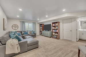 Basement flex space and living room