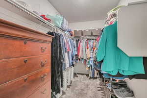 Large Primary Walk in closet with light carpet
