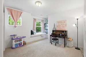 Recreation room with light carpet and baseboards