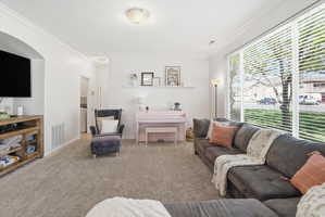 Carpeted living room featuring crown molding and baseboards