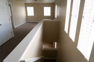 Stairway with baseboards and carpet floors