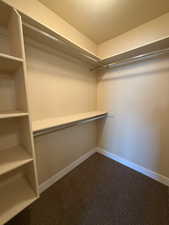 Walk in closet with dark colored carpet