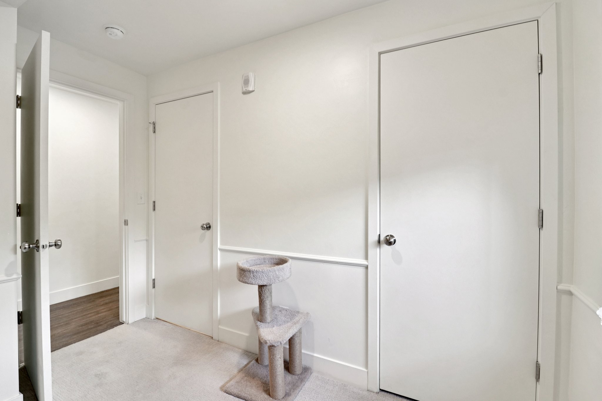 Bathroom with light colored carpet