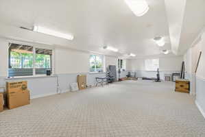 Spacious lower-level room featuring patterned carpeting, multiple windows, and extensive overhead lighting