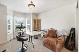 Room featuring bay windows, white window blinds, a built-in light fixture, and textured carpet flooring