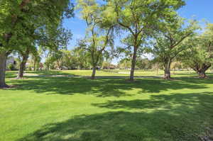View of community