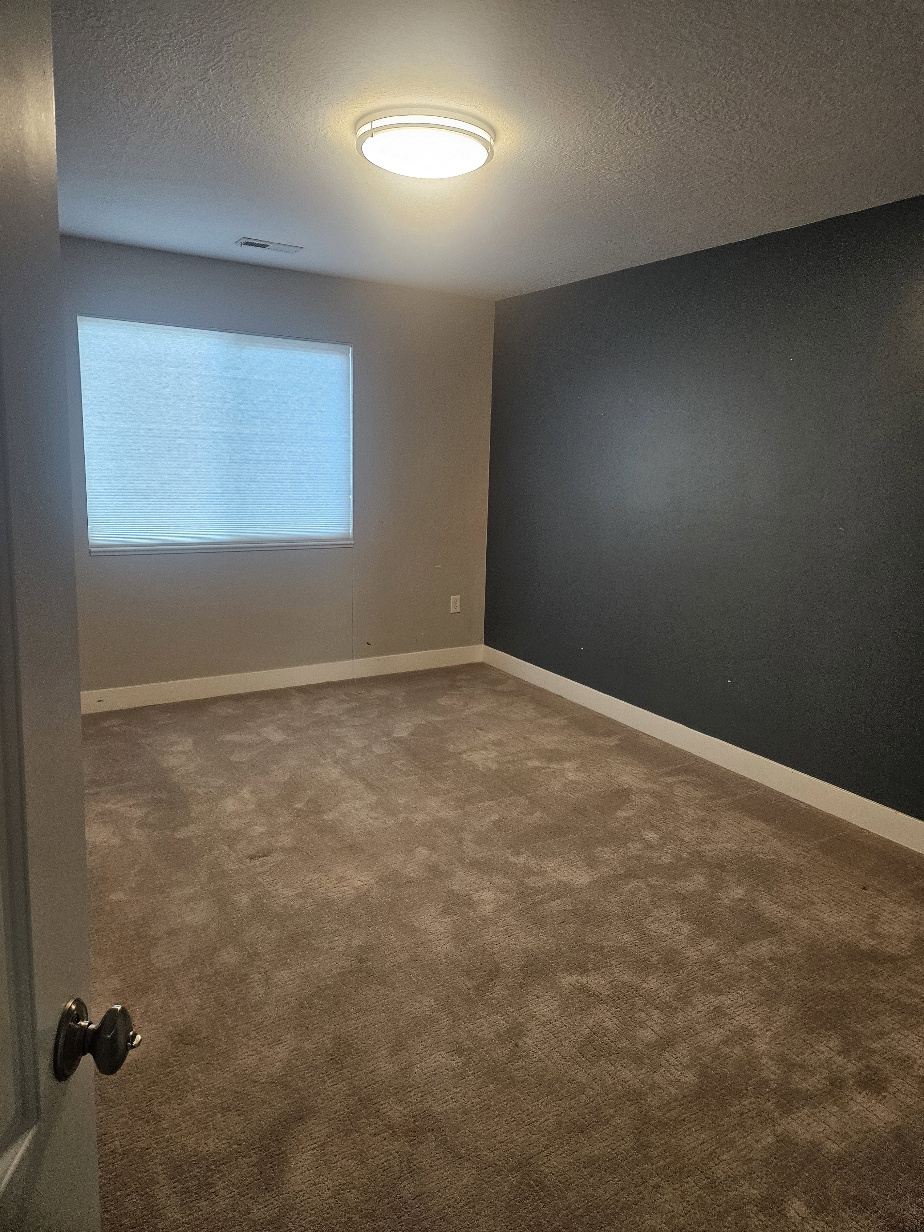 Unfurnished room featuring carpet flooring and a textured ceiling
