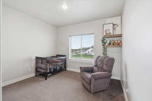 Bedroom with a nursery area and carpet flooring