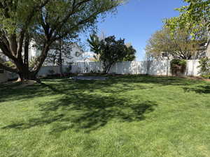 View of fenced backyard