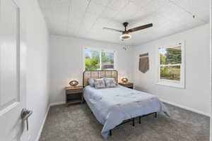 Bedroom featuring dark carpet, a ceiling fan, and multiple windows