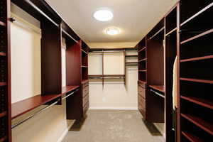Walk in closet with light carpet