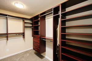 Walk in closet with light colored carpet