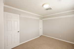 Spare room featuring light carpet and crown molding