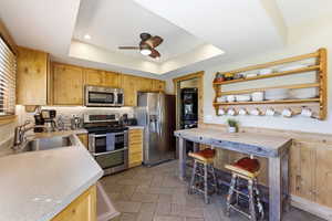 Kitchen with stainless steel appliances, light countertops, light wood finish cabinets, a raised ceiling, and recessed lighting