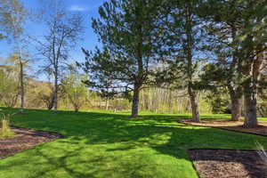 View of grassy yard