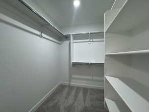 Walk in closet featuring light colored carpet