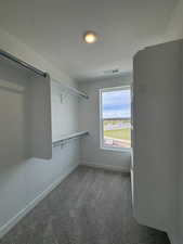 Walk in closet featuring dark colored carpet
