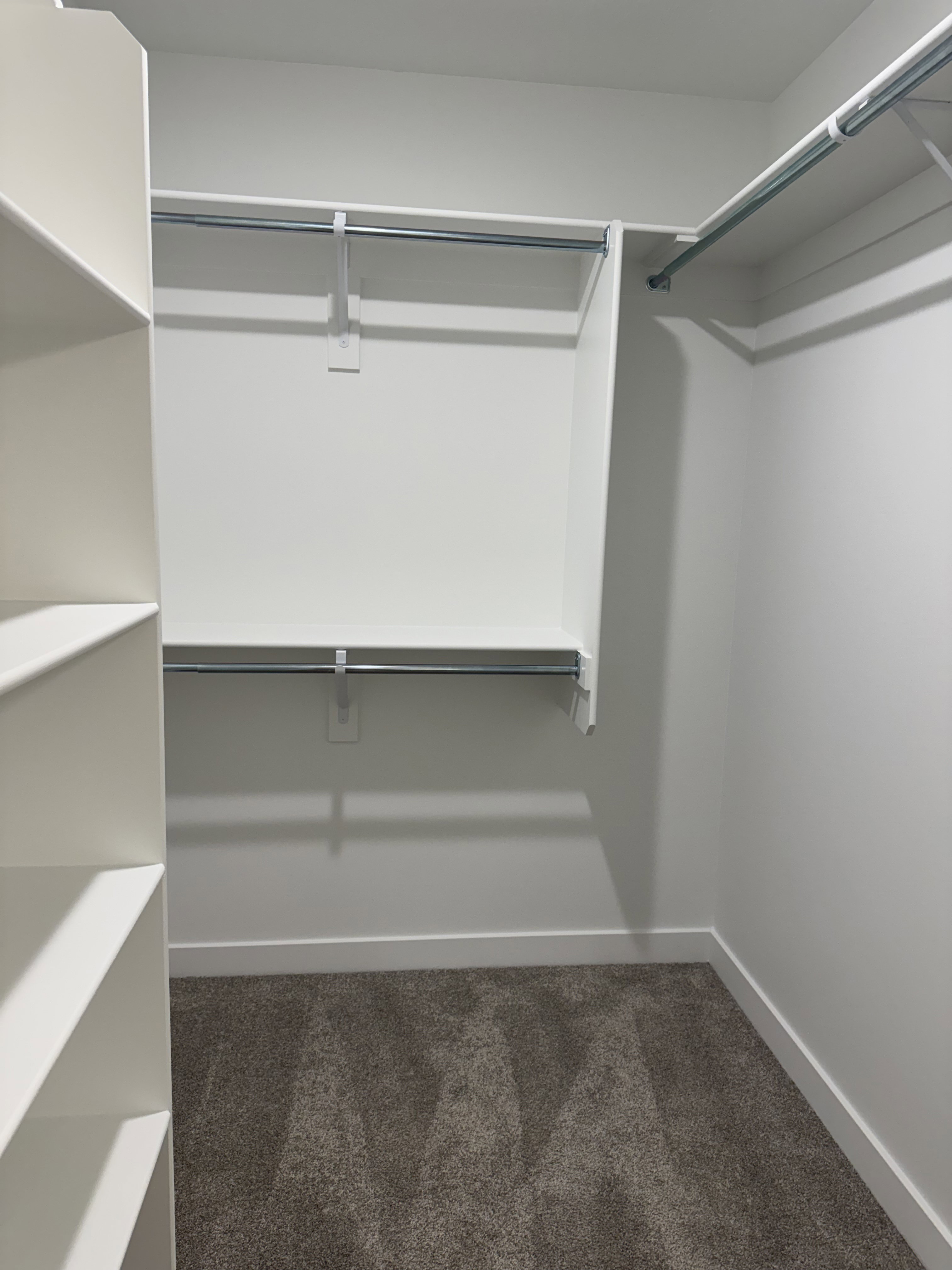 Walk in closet featuring dark carpet