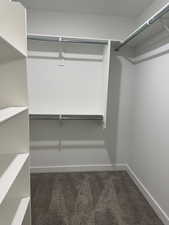 Walk in closet featuring dark carpet