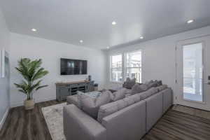 Living room with dark wood-style flooring and recessed lighting