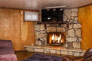 Detailed view of track lighting, wood walls, a textured ceiling, a stone fireplace, and wood finished floors
