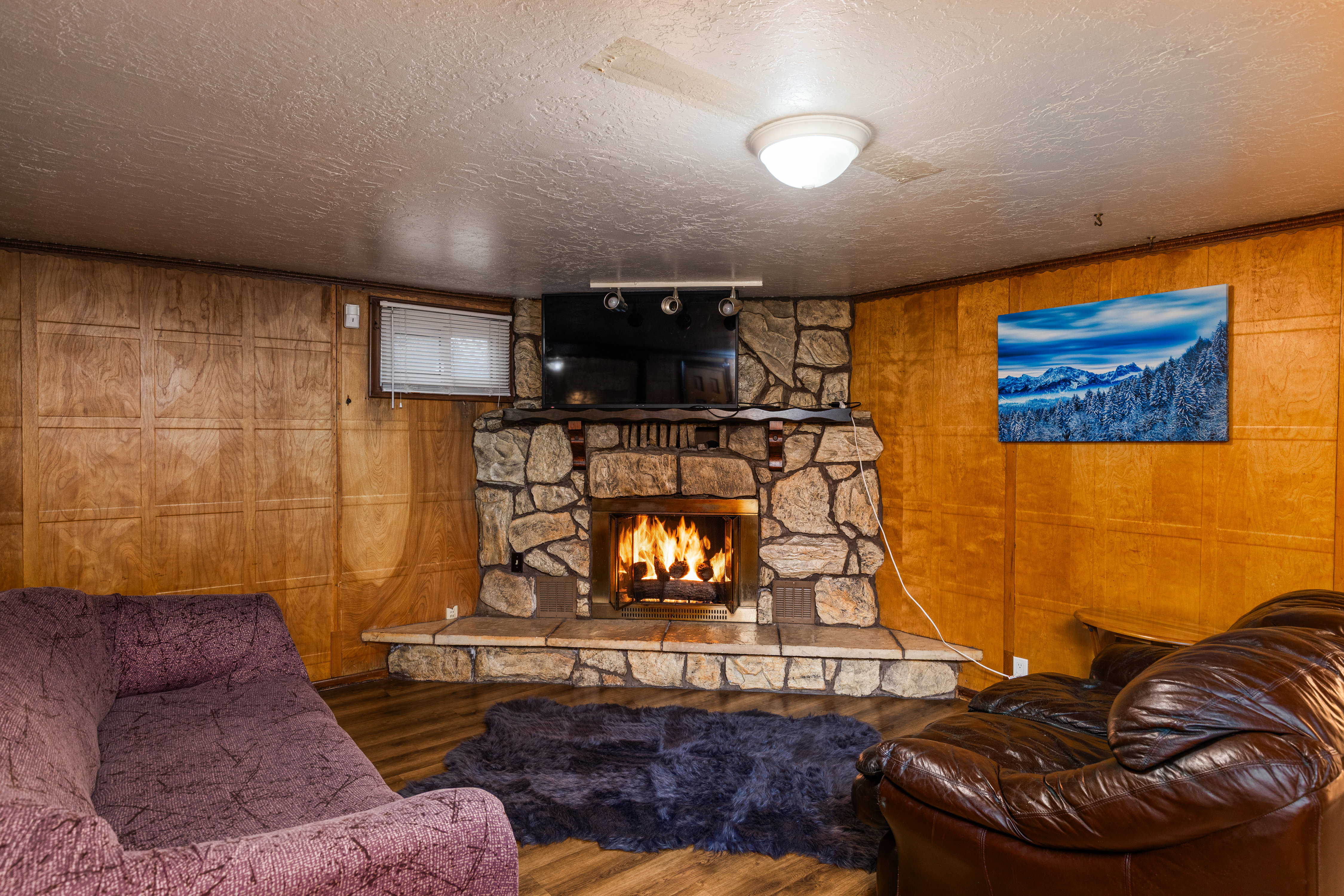 Living area featuring wooden walls, a textured ceiling, wood finished floors, a fireplace, and track lighting