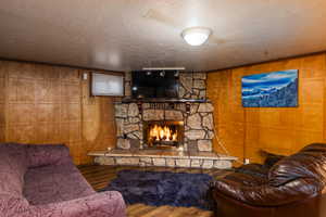 Living area featuring wooden walls, a textured ceiling, wood finished floors, a fireplace, and track lighting
