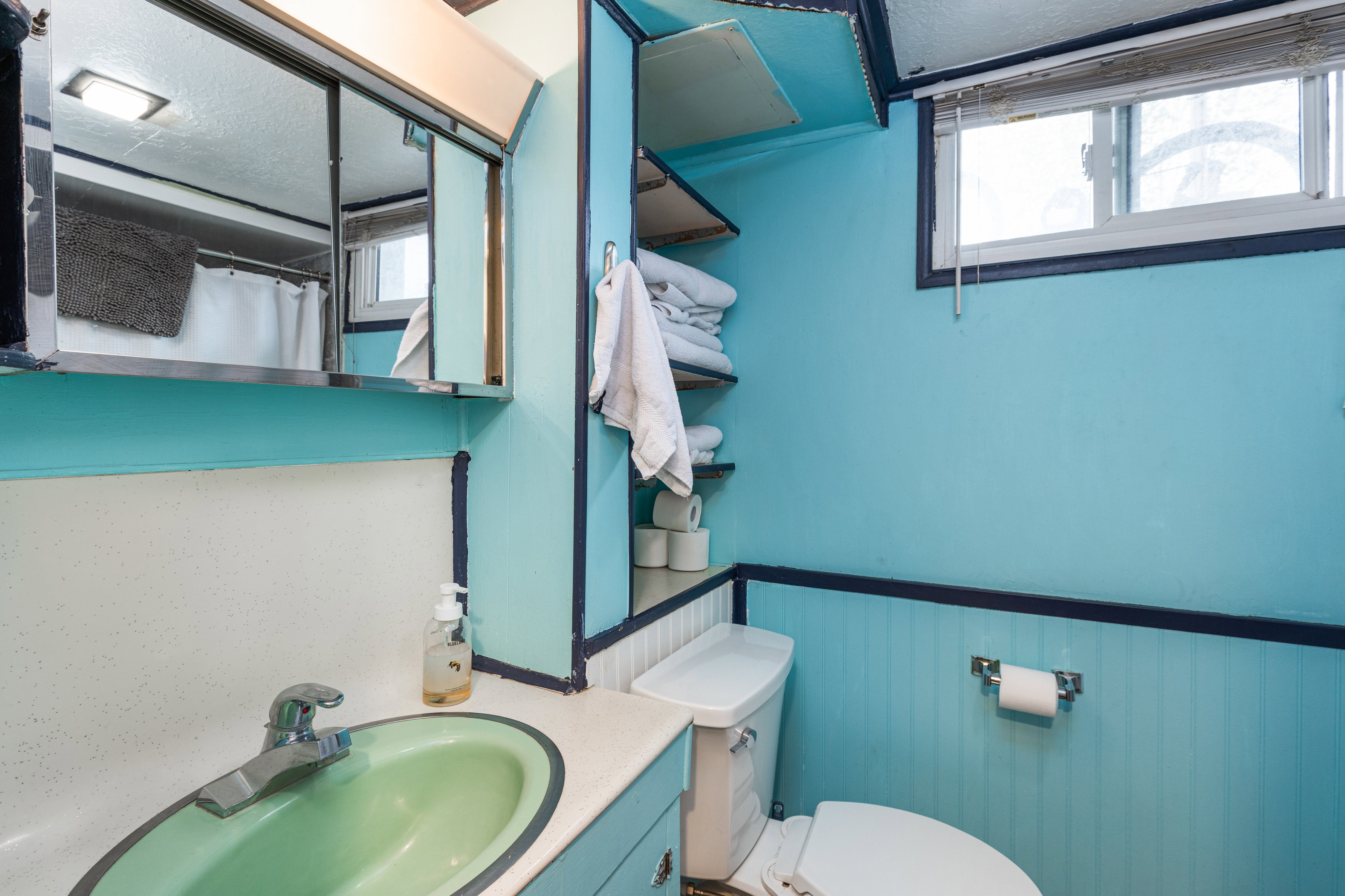 Full bath featuring vanity, curtained shower, and a wainscoted wall