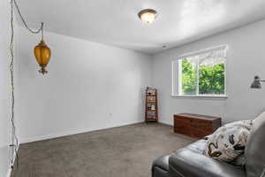 Sitting room featuring dark carpet and baseboards