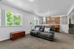 Living room featuring carpet floors and a textured ceiling