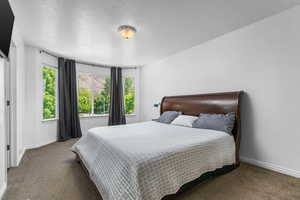 Carpeted bedroom featuring baseboards and a textured ceiling