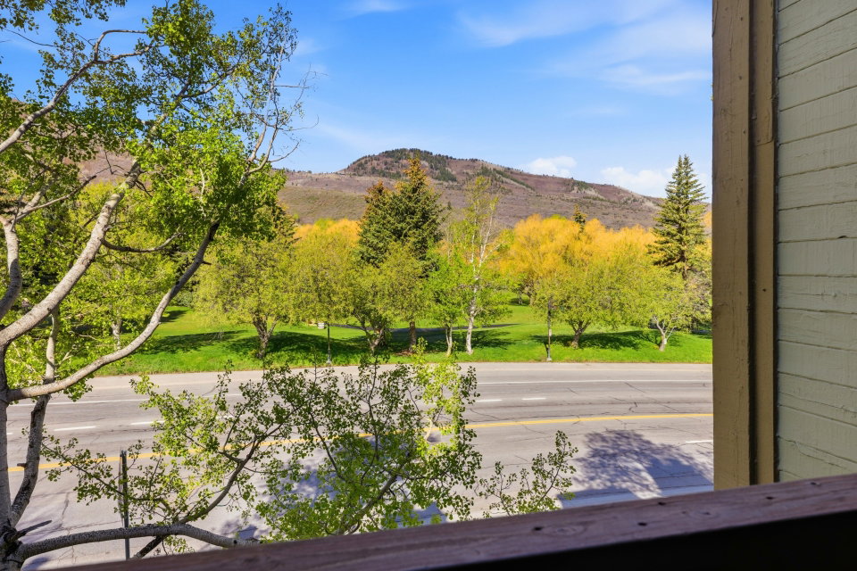 View of mountain background