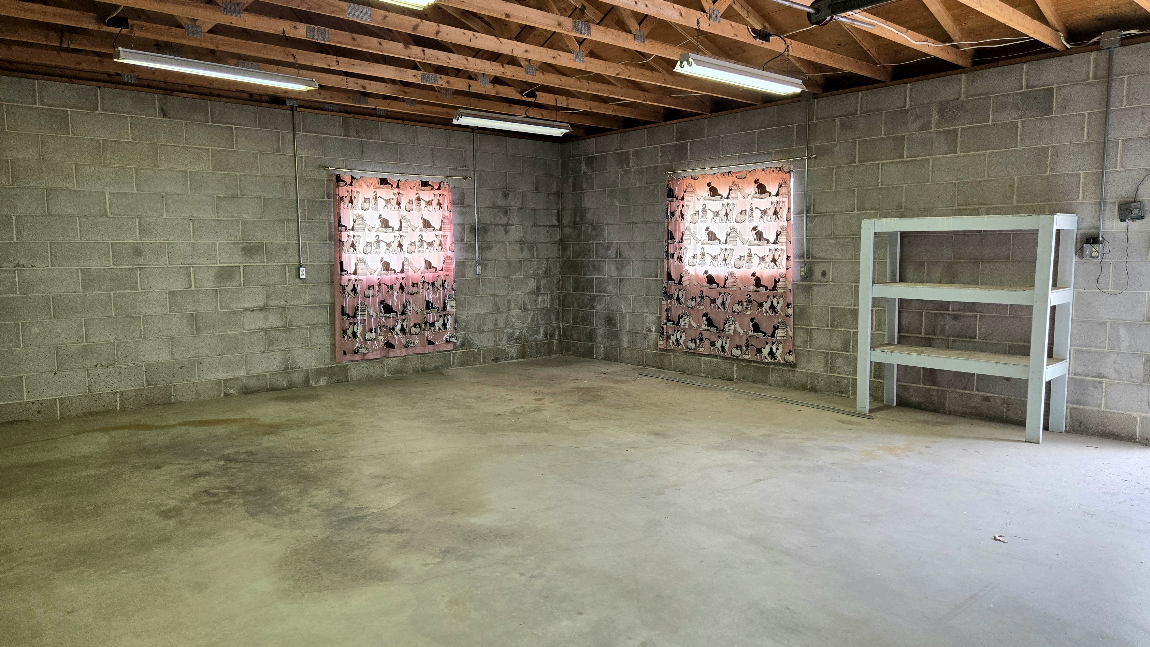 Basement with concrete block wall and a garage